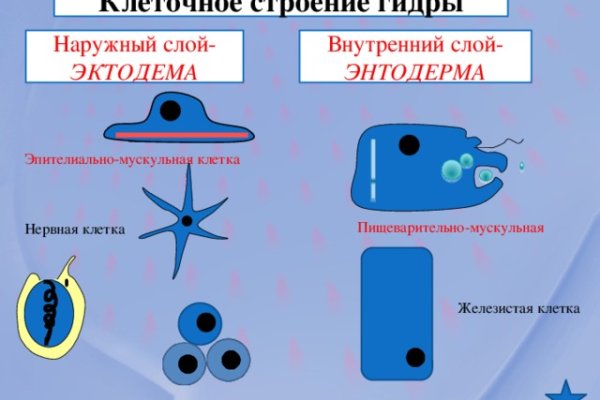 Сайт кракен рабочая ссылка